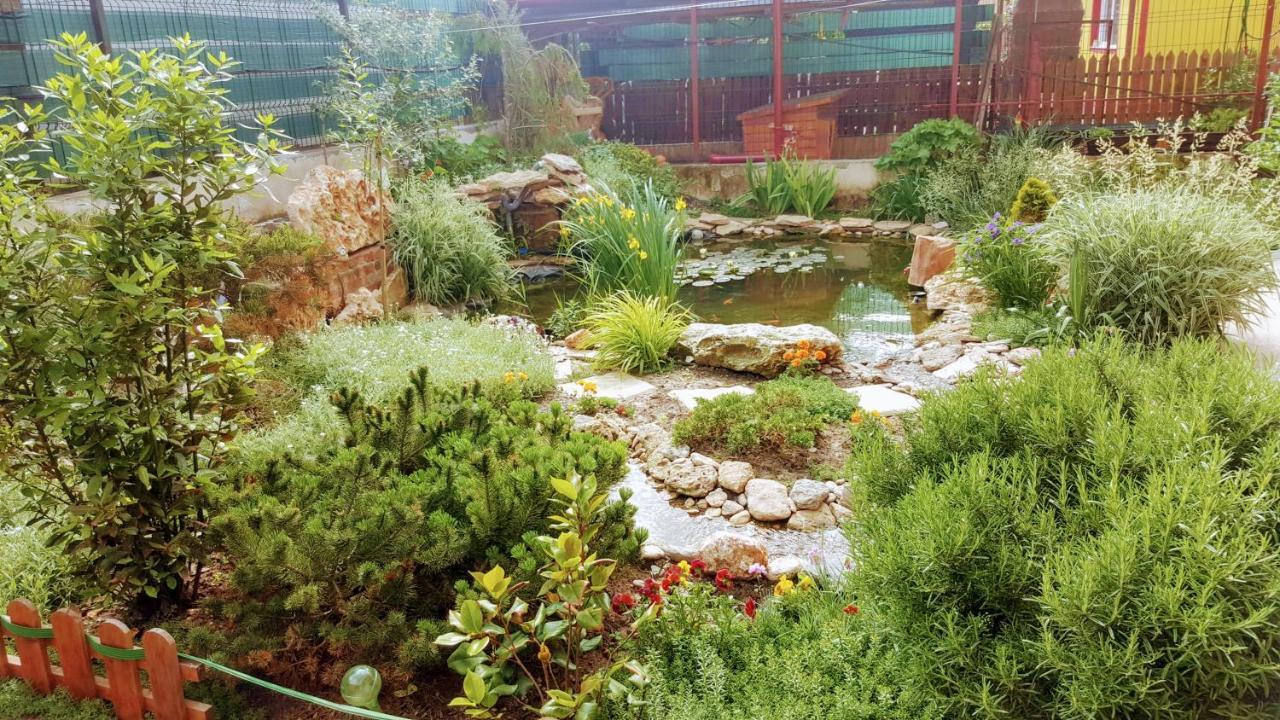 Villa Sanitas Techirghiol Luaran gambar