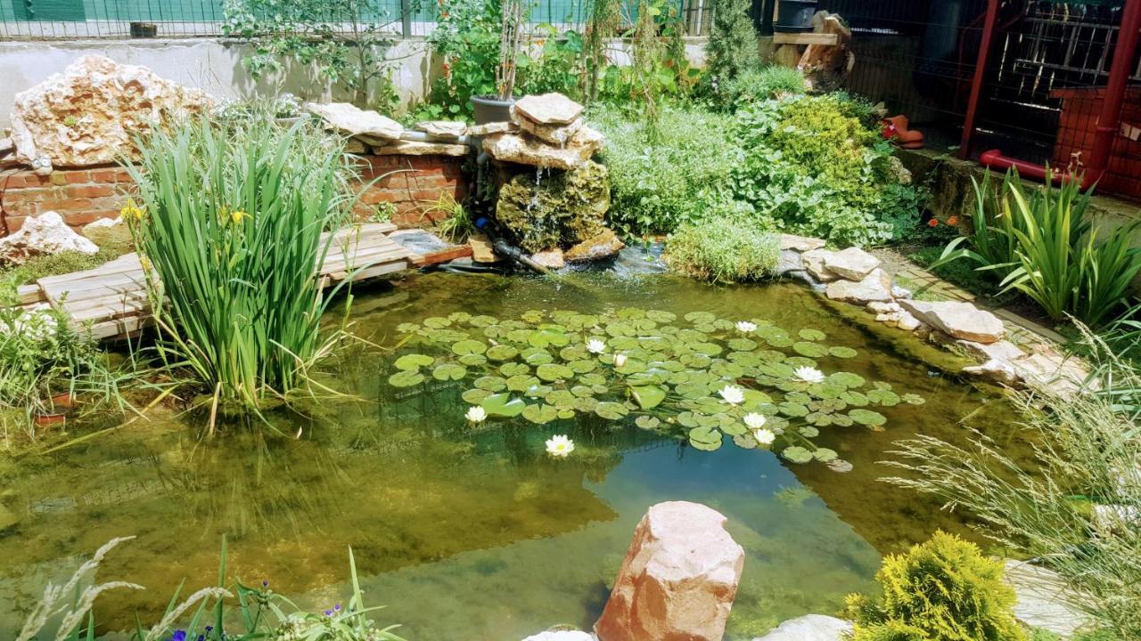 Villa Sanitas Techirghiol Luaran gambar