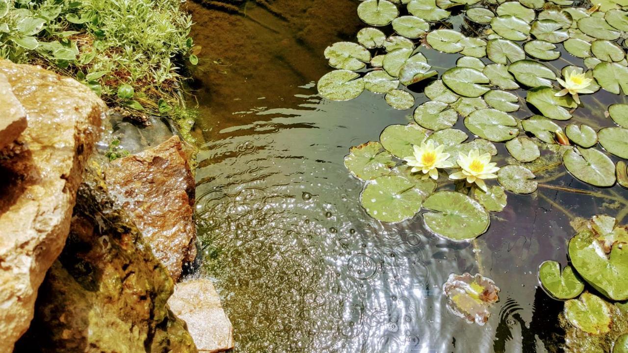 Villa Sanitas Techirghiol Luaran gambar