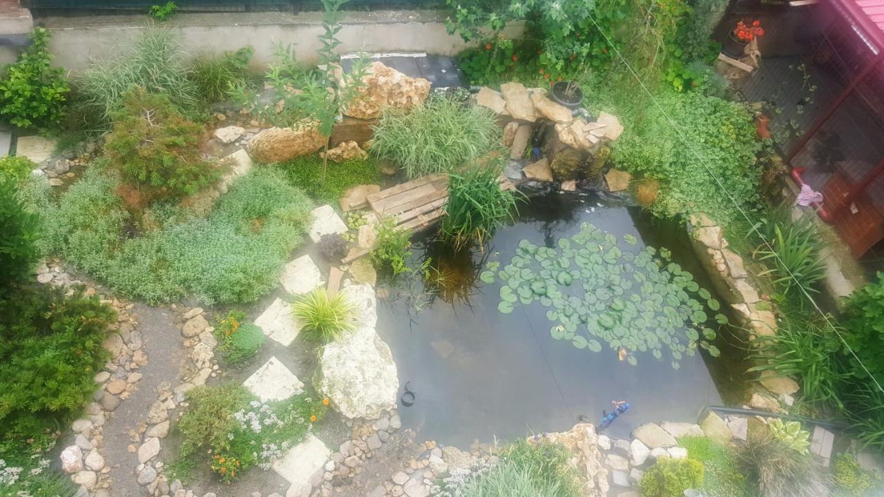 Villa Sanitas Techirghiol Luaran gambar